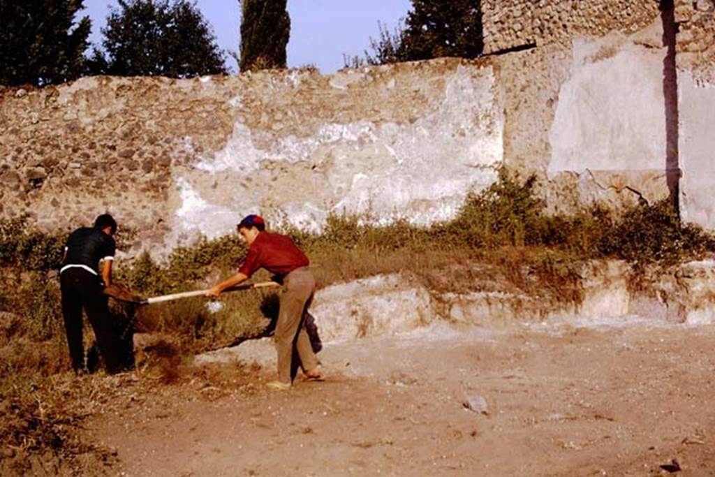 II.5 Pompeii, 1968.  Excavating in the north-west corner near the building for the wine-making. Photo by Stanley A. Jashemski.
Source: The Wilhelmina and Stanley A. Jashemski archive in the University of Maryland Library, Special Collections (See collection page) and made available under the Creative Commons Attribution-Non Commercial License v.4. See Licence and use details.
J68f0896