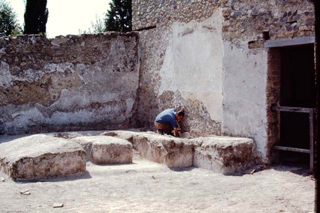II.5 Pompeii, 1968.  “What have I found here”.  Photo by Stanley A. Jashemski.
Source: The Wilhelmina and Stanley A. Jashemski archive in the University of Maryland Library, Special Collections (See collection page) and made available under the Creative Commons Attribution-Non Commercial License v.4. See Licence and use details.
J68f0908