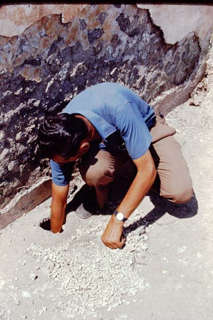 II.5 Pompeii, 1968.  Digging out the lapilli from the buried amphora. Photo by Stanley A. Jashemski.
Source: The Wilhelmina and Stanley A. Jashemski archive in the University of Maryland Library, Special Collections (See collection page) and made available under the Creative Commons Attribution-Non Commercial License v.4. See Licence and use details.
J68f0907