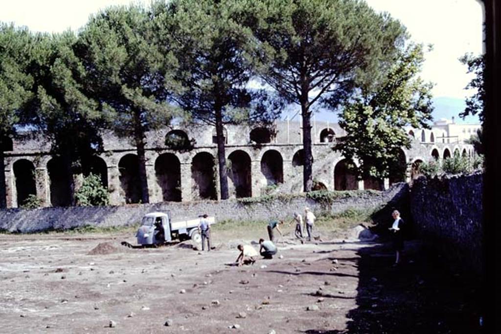 ll.5 Pompeii, 1968.  Looking south along the western side. Photo by Stanley A. Jashemski.
Source: The Wilhelmina and Stanley A. Jashemski archive in the University of Maryland Library, Special Collections (See collection page) and made available under the Creative Commons Attribution-Non Commercial License v.4. See Licence and use details.
J68f1091