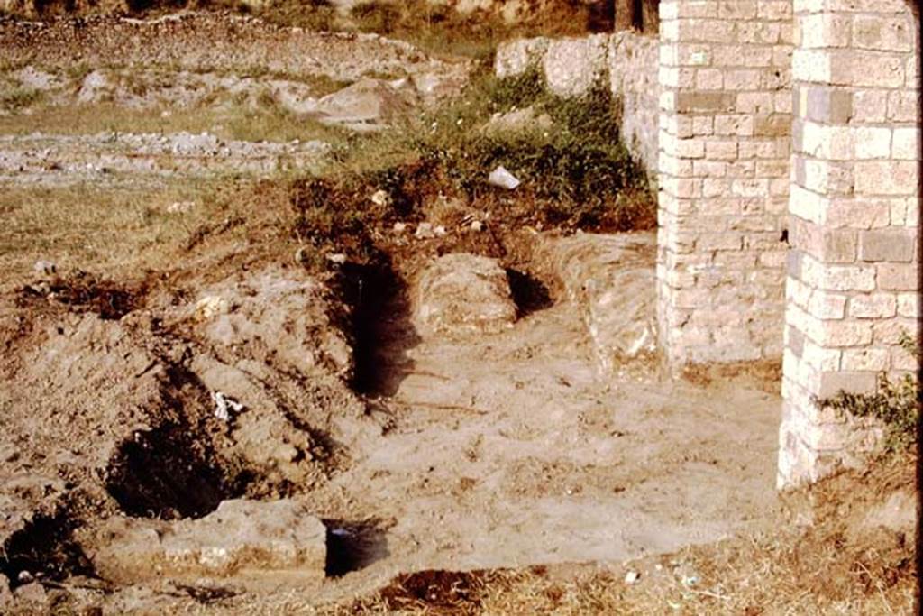 II.5 Pompeii, 1968. Looking east across second triclinium, found near entrance gateway on southern boundary.  Photo by Stanley A. Jashemski.
Source: The Wilhelmina and Stanley A. Jashemski archive in the University of Maryland Library, Special Collections (See collection page) and made available under the Creative Commons Attribution-Non Commercial License v.4. See Licence and use details.
J68f1304