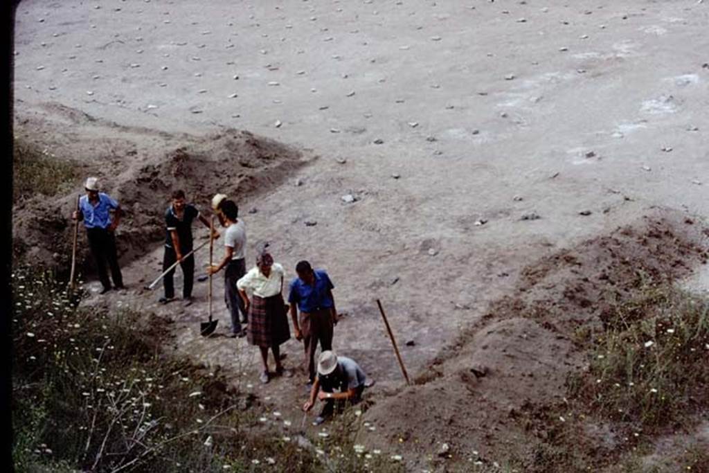 ll.5 Pompeii, 1968.  Excavation in north-east corner near the unexcavated mound, looking south-west. Photo by Stanley A. Jashemski.
Source: The Wilhelmina and Stanley A. Jashemski archive in the University of Maryland Library, Special Collections (See collection page) and made available under the Creative Commons Attribution-Non Commercial License v.4. See Licence and use details.
J68f1633
