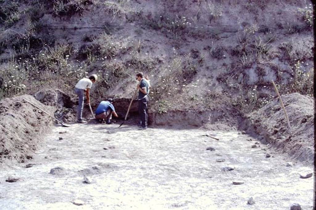 ll.5 Pompeii, 1968.  Excavation in north-east corner, looking north. Photo by Stanley A. Jashemski.
Source: The Wilhelmina and Stanley A. Jashemski archive in the University of Maryland Library, Special Collections (See collection page) and made available under the Creative Commons Attribution-Non Commercial License v.4. See Licence and use details.
J68f1637