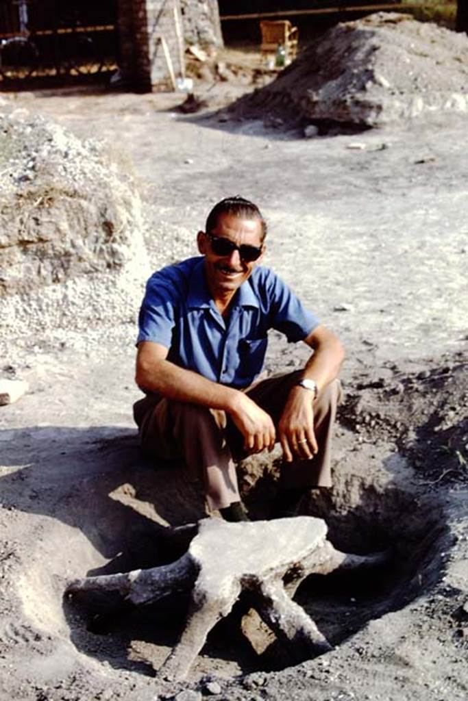 ll.5 Pompeii, 1968. Sig. Sicignano with cast of large tree-root.  Photo by Stanley A. Jashemski.
Source: The Wilhelmina and Stanley A. Jashemski archive in the University of Maryland Library, Special Collections (See collection page) and made available under the Creative Commons Attribution-Non Commercial License v.4. See Licence and use details.
J68f1738