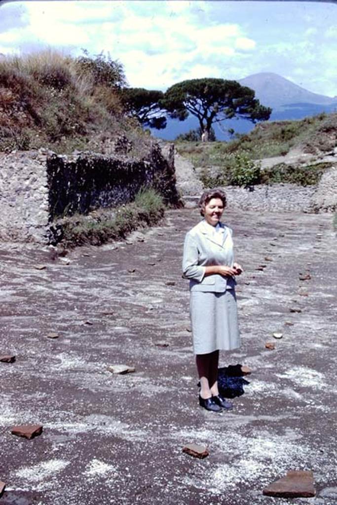 ll.5 Pompeii, 1968. Wilhelmina in “her” vineyard.  Photo by Stanley A. Jashemski.
Source: The Wilhelmina and Stanley A. Jashemski archive in the University of Maryland Library, Special Collections (See collection page) and made available under the Creative Commons Attribution-Non Commercial License v.4. See Licence and use details.
J68f2036