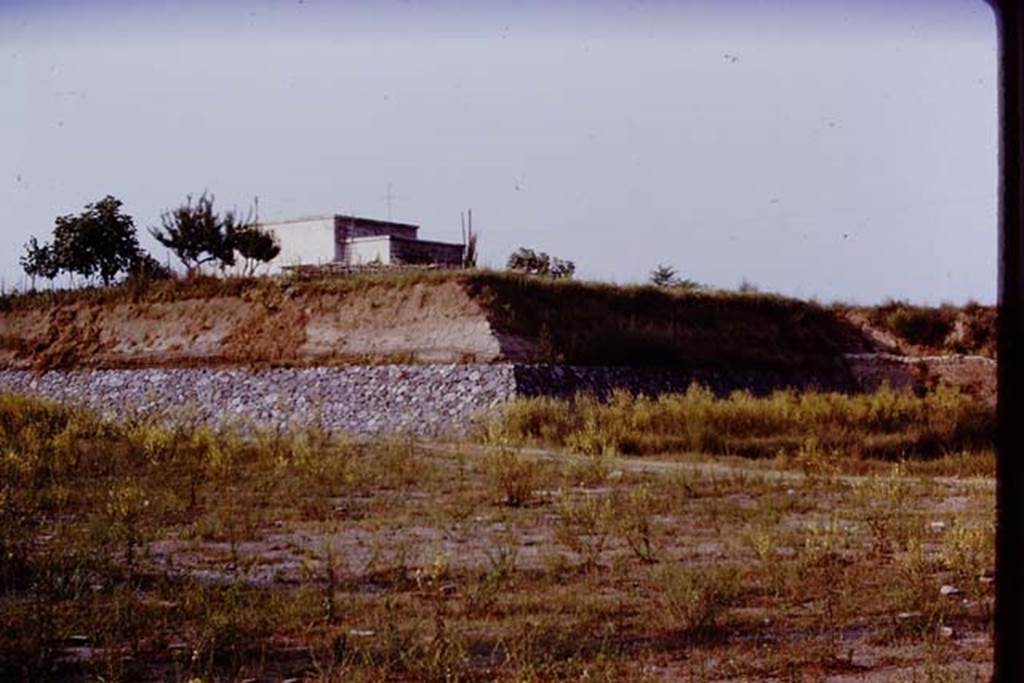 II.5 Pompeii. 1970.  Looking north-east across site towards the new retaining wall, and the workman’s cottage on top of the mound.  Photo by Stanley A. Jashemski.
Source: The Wilhelmina and Stanley A. Jashemski archive in the University of Maryland Library, Special Collections (See collection page) and made available under the Creative Commons Attribution-Non Commercial License v.4. See Licence and use details.
J70f0459