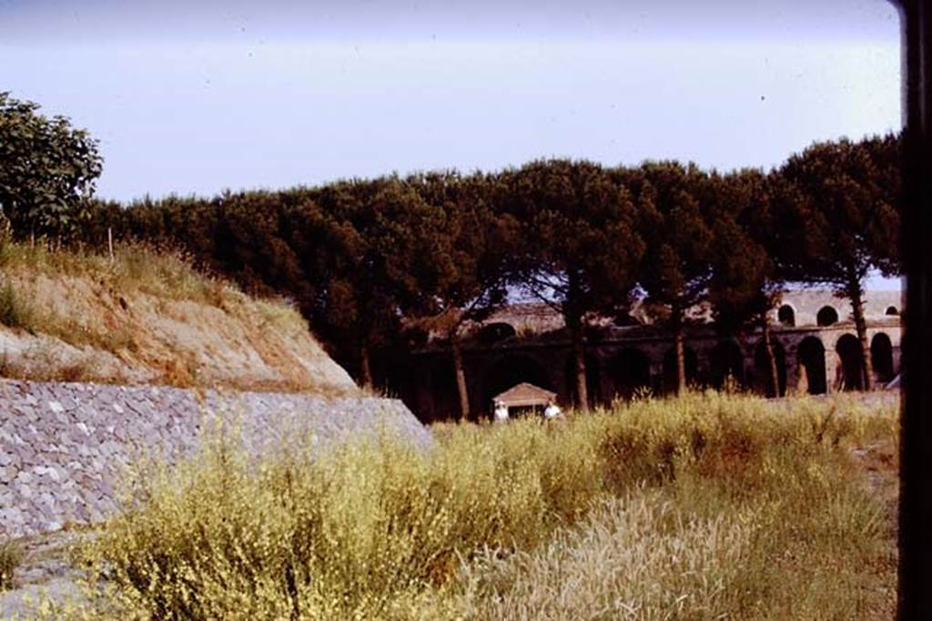 II.5 Pompeii. 1970. Looking south.   Photo by Stanley A. Jashemski.
Source: The Wilhelmina and Stanley A. Jashemski archive in the University of Maryland Library, Special Collections (See collection page) and made available under the Creative Commons Attribution-Non Commercial License v.4. See Licence and use details.
J70f0462