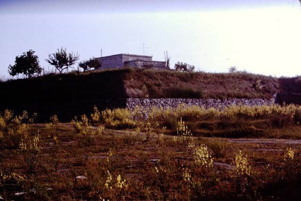 II.5 Pompeii. 1970. Looking north-east.  Photo by Stanley A. Jashemski.
Source: The Wilhelmina and Stanley A. Jashemski archive in the University of Maryland Library, Special Collections (See collection page) and made available under the Creative Commons Attribution-Non Commercial License v.4. See Licence and use details.
J70f0464