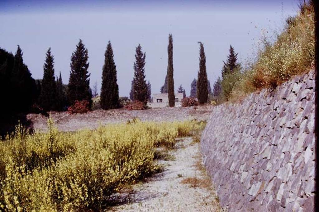 II.5 Pompeii. 1970.  Looking west along line of new retaining wall on south side of hill.  Photo by Stanley A. Jashemski.
Source: The Wilhelmina and Stanley A. Jashemski archive in the University of Maryland Library, Special Collections (See collection page) and made available under the Creative Commons Attribution-Non Commercial License v.4. See Licence and use details.
J70f0465