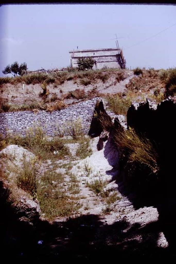 II.5 Pompeii. 1970.  Looking north in north-east corner of site, where new retaining wall met the wall on the eastern boundary.  Photo by Stanley A. Jashemski.
Source: The Wilhelmina and Stanley A. Jashemski archive in the University of Maryland Library, Special Collections (See collection page) and made available under the Creative Commons Attribution-Non Commercial License v.4. See Licence and use details.
J70f0467