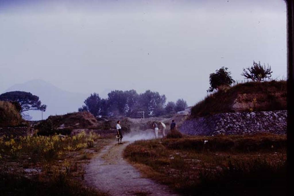 II.5 Pompeii. 1970.  Looking north.  Photo by Stanley A. Jashemski.
Source: The Wilhelmina and Stanley A. Jashemski archive in the University of Maryland Library, Special Collections (See collection page) and made available under the Creative Commons Attribution-Non Commercial License v.4. See Licence and use details.
J70f0468