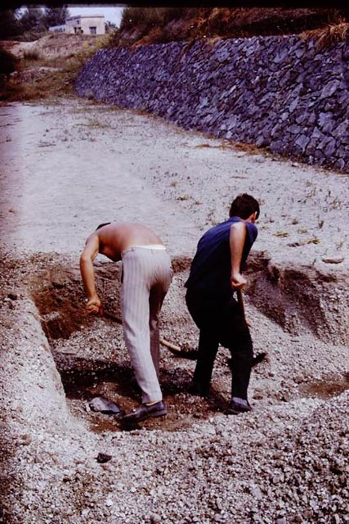 II.5 Pompeii. 1970.  Digging through the unexcavated lapilli. Photo by Stanley A. Jashemski.
Source: The Wilhelmina and Stanley A. Jashemski archive in the University of Maryland Library, Special Collections (See collection page) and made available under the Creative Commons Attribution-Non Commercial License v.4. See Licence and use details.
J70f0469