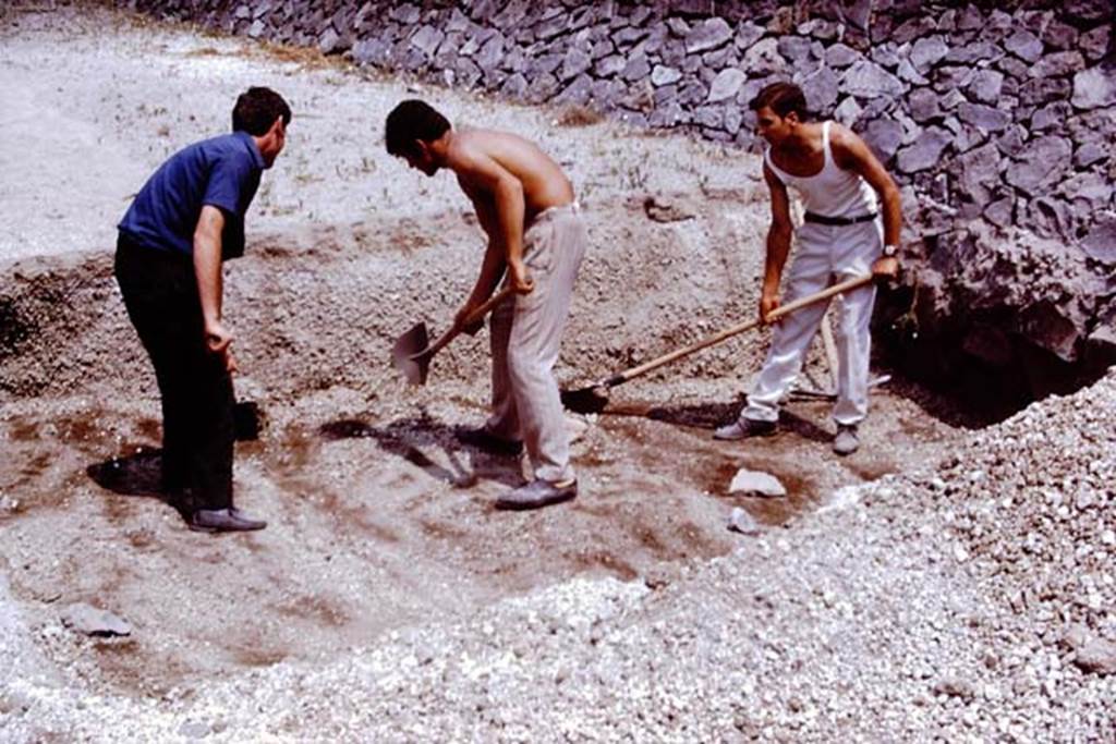 II.5 Pompeii. 1970.  Digging down to the original level of 79AD. Photo by Stanley A. Jashemski.
Source: The Wilhelmina and Stanley A. Jashemski archive in the University of Maryland Library, Special Collections (See collection page) and made available under the Creative Commons Attribution-Non Commercial License v.4. See Licence and use details.
J70f0471