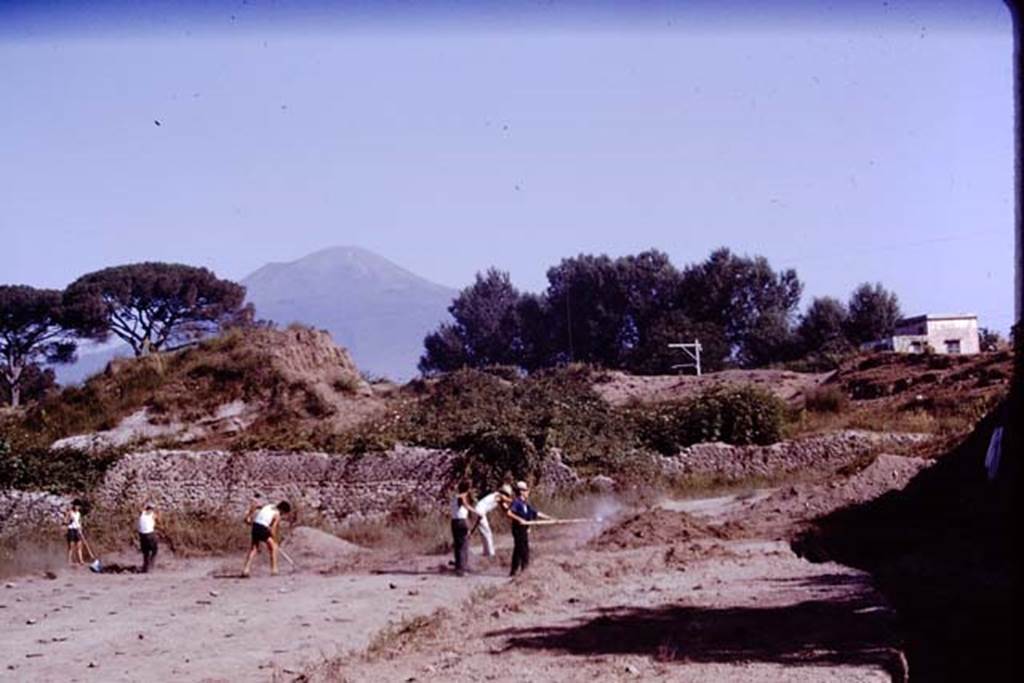 II.5 Pompeii. 1970. North side of site.  Photo by Stanley A. Jashemski.
Source: The Wilhelmina and Stanley A. Jashemski archive in the University of Maryland Library, Special Collections (See collection page) and made available under the Creative Commons Attribution-Non Commercial License v.4. See Licence and use details.
J70f0541