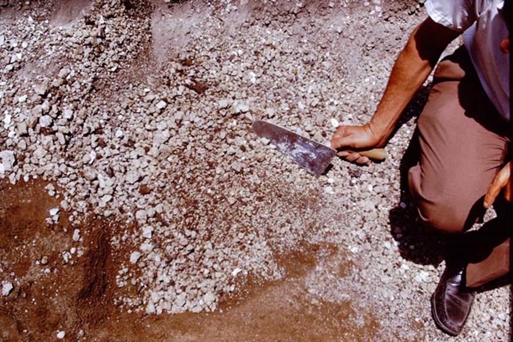 II.5 Pompeii. 1970.  Lapilli and original soil level being gently moved by hand.  Photo by Stanley A. Jashemski.
Source: The Wilhelmina and Stanley A. Jashemski archive in the University of Maryland Library, Special Collections (See collection page) and made available under the Creative Commons Attribution-Non Commercial License v.4. See Licence and use details.
J70f0551