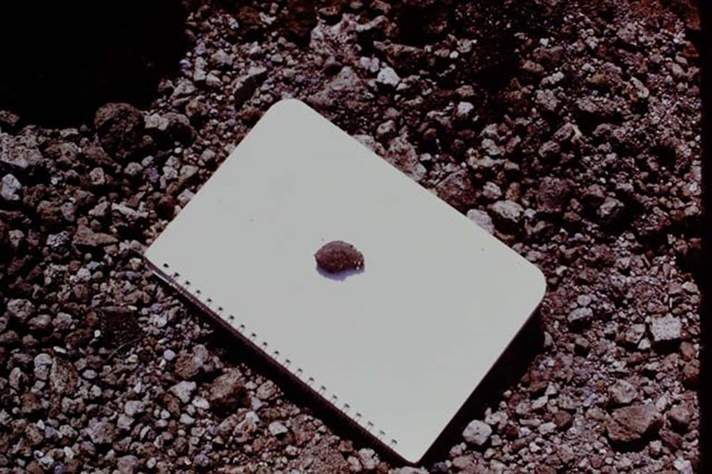 II.5 Pompeii. 1970.  According to Wilhelmina, the two objects were photographed in situ, and then gently removed for further study. One disintegrated almost immediately upon being exposed to air. The other was an olive, the flesh of the fruit in part still visible on the seed, when it was examined under a microscope.  Photo by Stanley A. Jashemski.
Source: The Wilhelmina and Stanley A. Jashemski archive in the University of Maryland Library, Special Collections (See collection page) and made available under the Creative Commons Attribution-Non Commercial License v.4. See Licence and use details.
J70f0549