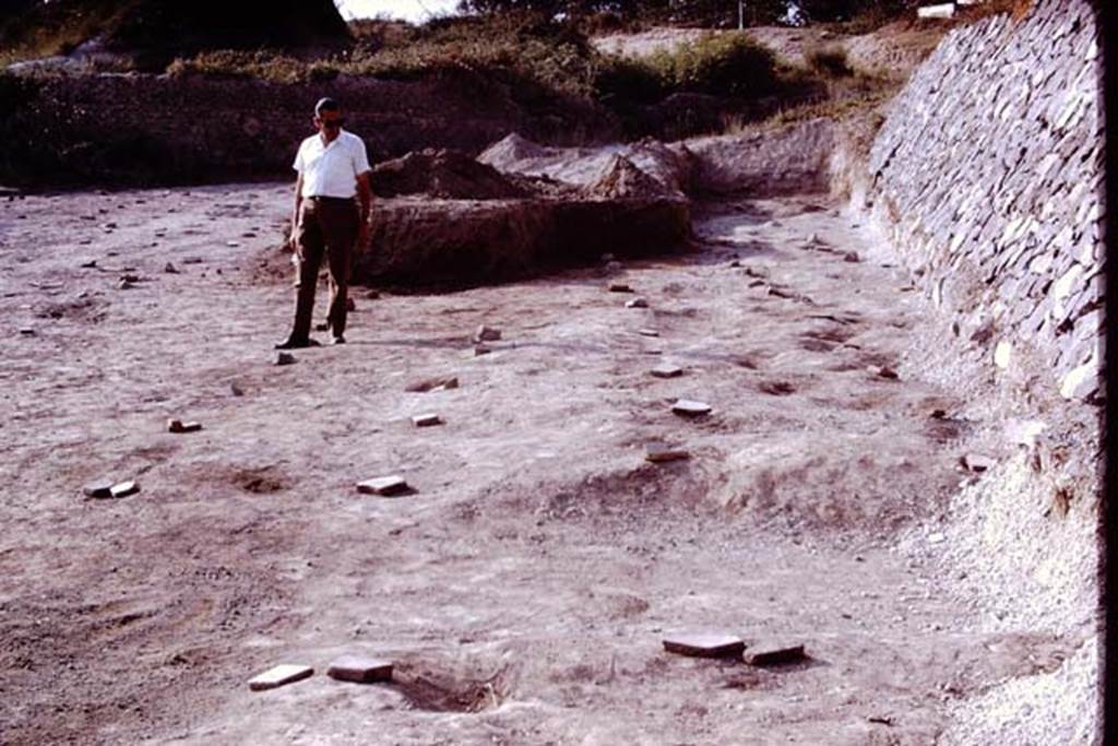 II.5 Pompeii. 1970.  Sig. Sicignano studying the rows.  Photo by Stanley A. Jashemski.
Source: The Wilhelmina and Stanley A. Jashemski archive in the University of Maryland Library, Special Collections (See collection page) and made available under the Creative Commons Attribution-Non Commercial License v.4. See Licence and use details.
J70f0564