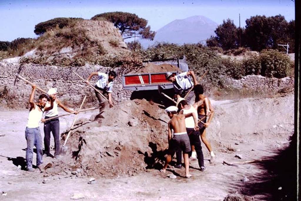 II.5 Pompeii. 1970. Removing the soil at northern end of site.  Photo by Stanley A. Jashemski.
Source: The Wilhelmina and Stanley A. Jashemski archive in the University of Maryland Library, Special Collections (See collection page) and made available under the Creative Commons Attribution-Non Commercial License v.4. See Licence and use details.
J70f0580
