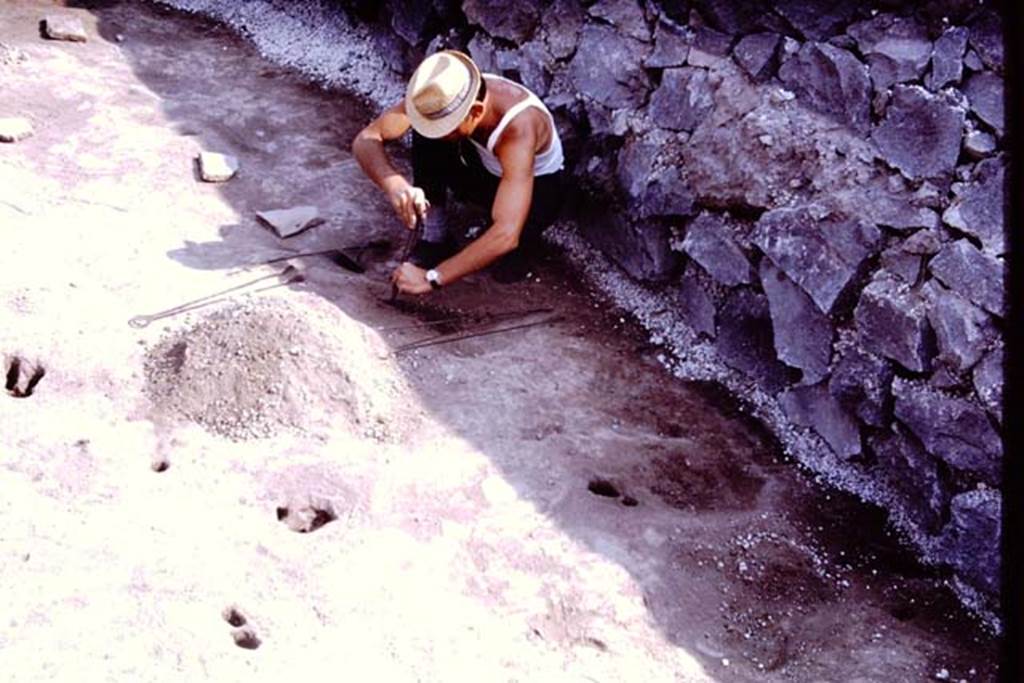 II.5 Pompeii. 1970.  Emptying and cleaning the root cavities. Photo by Stanley A. Jashemski.
Source: The Wilhelmina and Stanley A. Jashemski archive in the University of Maryland Library, Special Collections (See collection page) and made available under the Creative Commons Attribution-Non Commercial License v.4. See Licence and use details.
J70f0610