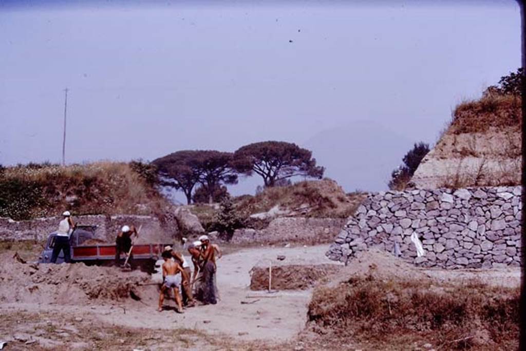 II.5 Pompeii. 1970.  Looking north from south end of retaining wall. Photo by Stanley A. Jashemski.
Source: The Wilhelmina and Stanley A. Jashemski archive in the University of Maryland Library, Special Collections (See collection page) and made available under the Creative Commons Attribution-Non Commercial License v.4. See Licence and use details.
J70f0646