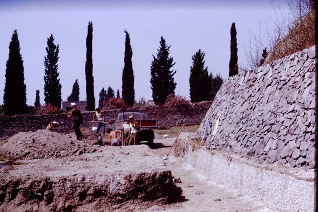 II.5 Pompeii. 1970. Looking west from near retaining wall.  Photo by Stanley A. Jashemski.
Source: The Wilhelmina and Stanley A. Jashemski archive in the University of Maryland Library, Special Collections (See collection page) and made available under the Creative Commons Attribution-Non Commercial License v.4. See Licence and use details.
J70f0647