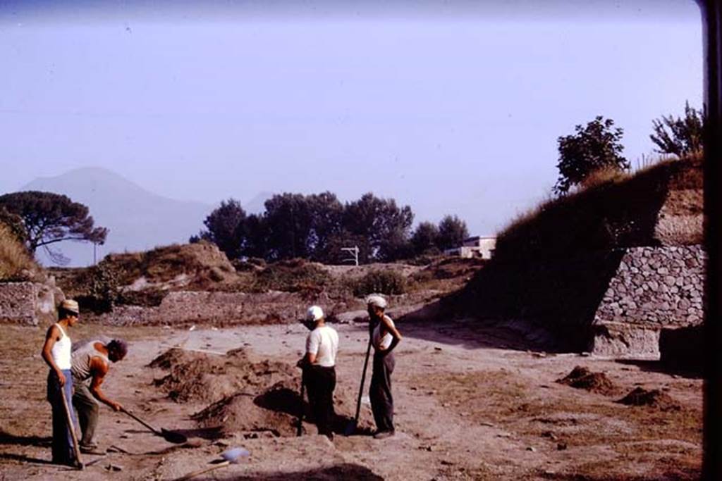 II.5 Pompeii. 1970.  Looking north.  Photo by Stanley A. Jashemski.
Source: The Wilhelmina and Stanley A. Jashemski archive in the University of Maryland Library, Special Collections (See collection page) and made available under the Creative Commons Attribution-Non Commercial License v.4. See Licence and use details.
J70f0669