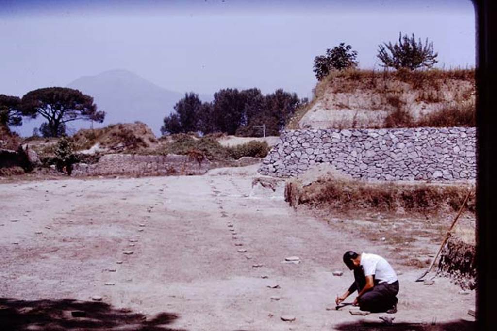 II.5 Pompeii. 1970.   Looking north. Photo by Stanley A. Jashemski.
Source: The Wilhelmina and Stanley A. Jashemski archive in the University of Maryland Library, Special Collections (See collection page) and made available under the Creative Commons Attribution-Non Commercial License v.4. See Licence and use details.
J70f0689