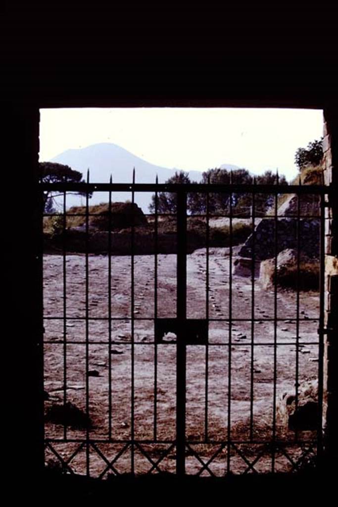 II.5 Pompeii. 1970.  Vesuvius and vineyard through gateway.  Photo by Stanley A. Jashemski.
Source: The Wilhelmina and Stanley A. Jashemski archive in the University of Maryland Library, Special Collections (See collection page) and made available under the Creative Commons Attribution-Non Commercial License v.4. See Licence and use details.
J70f0703