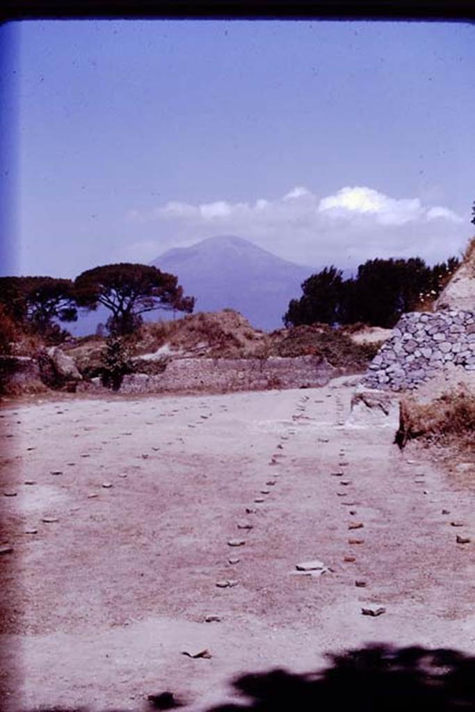 II.5 Pompeii. 1970.  Looking north across completed vineyard.  Photo by Stanley A. Jashemski.
Source: The Wilhelmina and Stanley A. Jashemski archive in the University of Maryland Library, Special Collections (See collection page) and made available under the Creative Commons Attribution-Non Commercial License v.4. See Licence and use details.
J70f0733