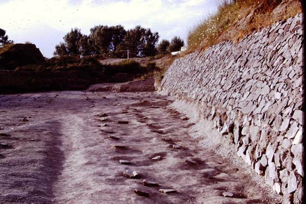 II.5 Pompeii. 1970.  Looking north along line of path.  Photo by Stanley A. Jashemski.
Source: The Wilhelmina and Stanley A. Jashemski archive in the University of Maryland Library, Special Collections (See collection page) and made available under the Creative Commons Attribution-Non Commercial License v.4. See Licence and use details.
J70f0745