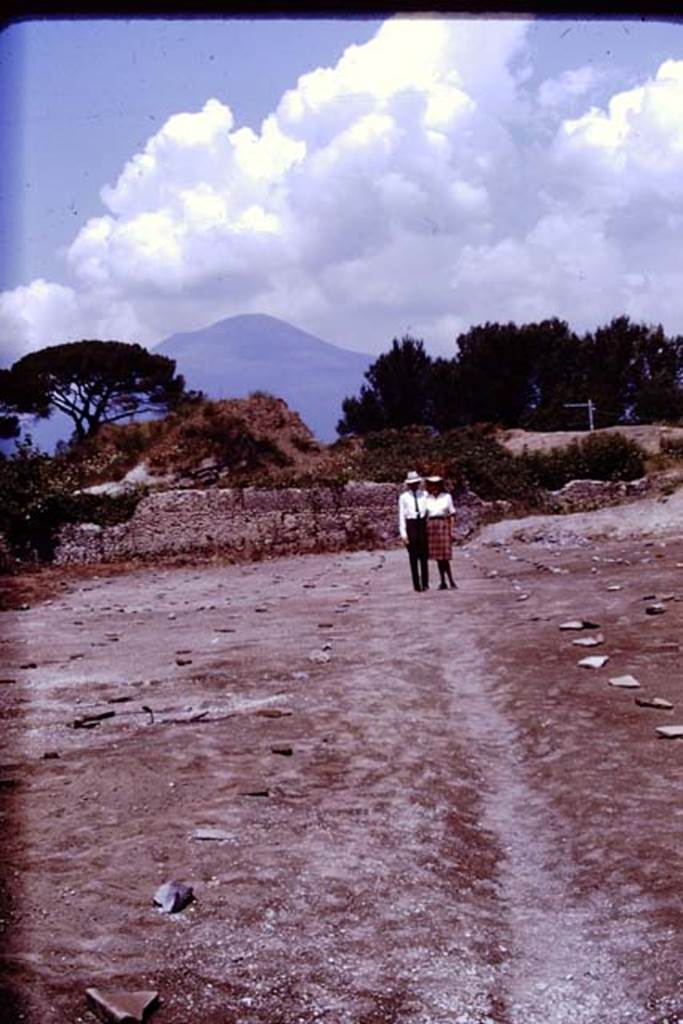 II.5 Pompeii. 1970.  Wilhelmina and Stanley stand on the north-south path.  Photo by Stanley A. Jashemski.
Source: The Wilhelmina and Stanley A. Jashemski archive in the University of Maryland Library, Special Collections (See collection page) and made available under the Creative Commons Attribution-Non Commercial License v.4. See Licence and use details.
J70f0755