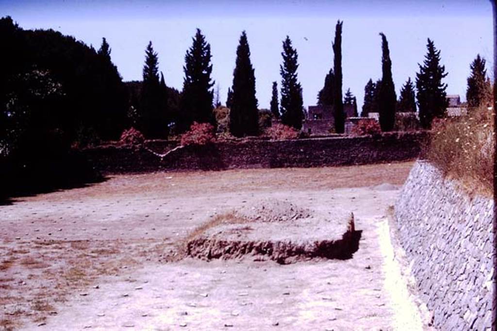 II.5 Pompeii. 1970.  Looking west across completed vineyard.  Photo by Stanley A. Jashemski.
According to Wilhelmina, as it was now obvious that the entire area had been planted as a vineyard, and as time was running out for the excavation, two areas of soil were not removed in the south-east quarter. However to make certain that the entire area was planted, excavations were continued around the soil, and it was discovered that the entire area was surrounded by rows of root cavities.
Source: The Wilhelmina and Stanley A. Jashemski archive in the University of Maryland Library, Special Collections (See collection page) and made available under the Creative Commons Attribution-Non Commercial License v.4. See Licence and use details.
J70f0735