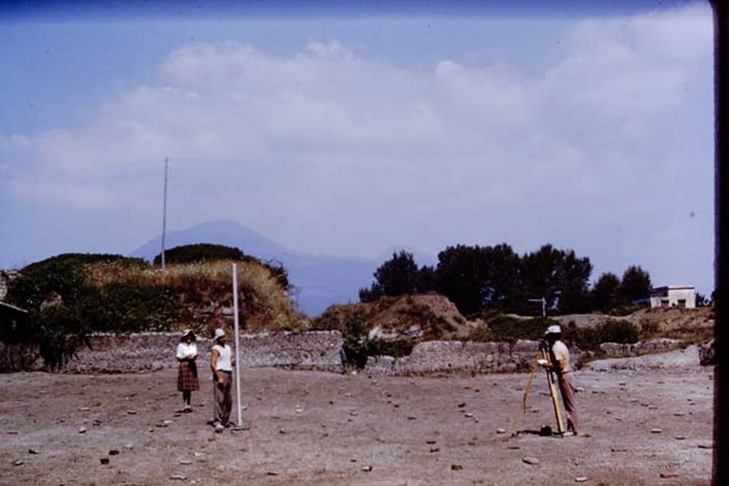 II.5 Pompeii. 1970. Looking north.   Photo by Stanley A. Jashemski.
Source: The Wilhelmina and Stanley A. Jashemski archive in the University of Maryland Library, Special Collections (See collection page) and made available under the Creative Commons Attribution-Non Commercial License v.4. See Licence and use details.
J70f0793