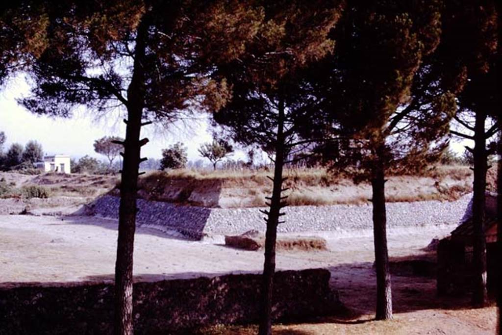 II.5 Pompeii. 1970. Looking north-east across completed site.   Photo by Stanley A. Jashemski.
Source: The Wilhelmina and Stanley A. Jashemski archive in the University of Maryland Library, Special Collections (See collection page) and made available under the Creative Commons Attribution-Non Commercial License v.4. See Licence and use details.
J70f0722