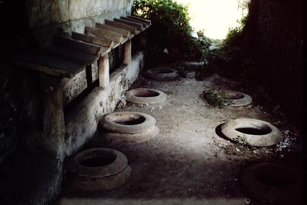 II.5.5. Pompeii. 1966. Looking north in building where wine was made.  Photo by Stanley A. Jashemski.
Source: The Wilhelmina and Stanley A. Jashemski archive in the University of Maryland Library, Special Collections (See collection page) and made available under the Creative Commons Attribution-Non Commercial License v.4. See Licence and use details.
J66f0339