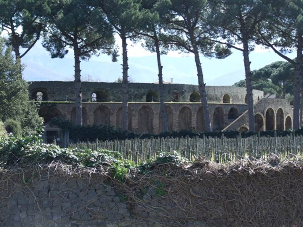 II.5.5 Pompeii.  March 2009. Looking south over wall on Via ell’Abbondanza, across vineyard to II.5.5 and amphitheatre.