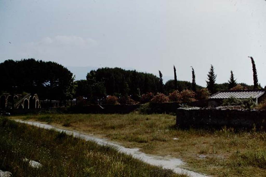 II.5 Pompeii. 1966. Looking south-west.  Photo by Stanley A. Jashemski.
Source: The Wilhelmina and Stanley A. Jashemski archive in the University of Maryland Library, Special Collections (See collection page) and made available under the Creative Commons Attribution-Non Commercial License v.4. See Licence and use details.
J66f0294