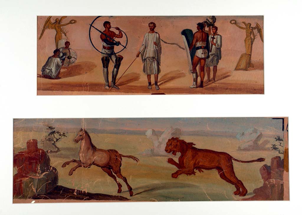 II.6 Pompeii. ADS 79. Inner wall of amphitheatre, paintings now lost.
Painting by Francesco Morelli from amphitheatre podium, at top, showing the armament of gladiators.
Below, is the painted panel of lion chasing a horse. See also ADS 47.
Now in Naples Archaeological Museum. Inventory number ADS 79. 
Photo © ICCD. http://www.catalogo.beniculturali.it
Utilizzabili alle condizioni della licenza Attribuzione - Non commerciale - Condividi allo stesso modo 2.5 Italia (CC BY-NC-SA 2.5 IT)