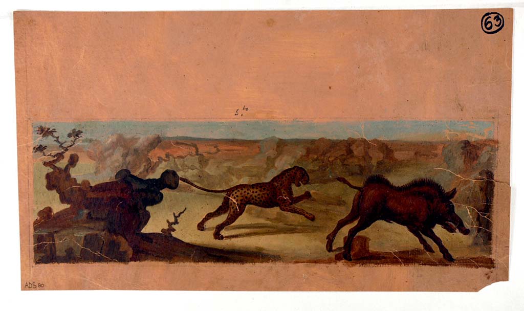 II.6 Pompeii. ADS 80. Inner wall of amphitheatre, painting now lost. 
Painting by Francesco Morelli of amphitheatre podium panel, showing the hunt of the wild beasts, panther and boar, see ADS 89 above. 
Now in Naples Archaeological Museum. Inventory number ADS 80.
Photo © ICCD. http://www.catalogo.beniculturali.it
Utilizzabili alle condizioni della licenza Attribuzione - Non commerciale - Condividi allo stesso modo 2.5 Italia (CC BY-NC-SA 2.5 IT)