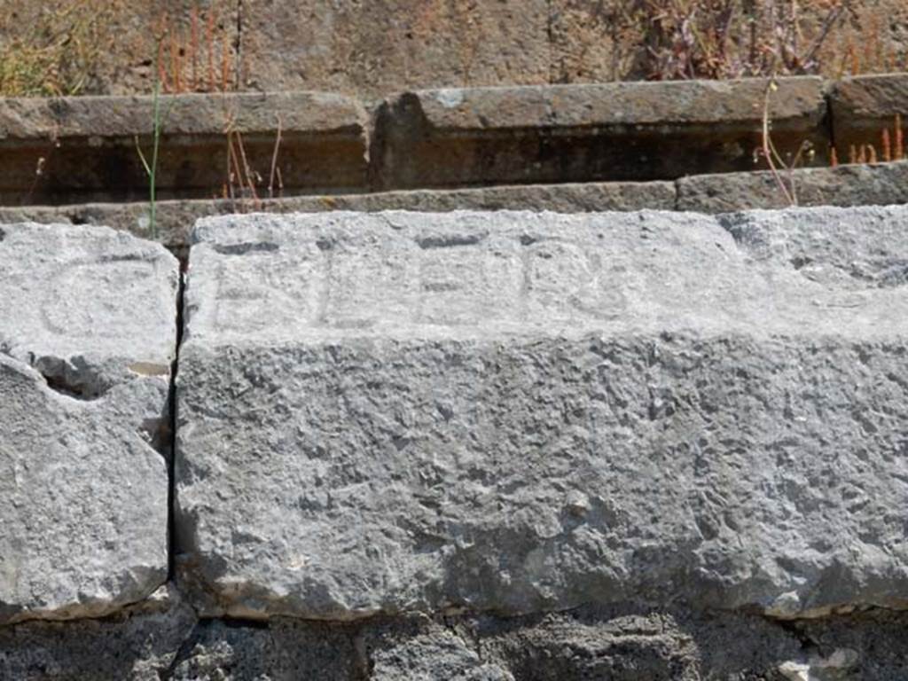 II.6 Pompeii. May 2016. Inscription carved on rim of inner wall of the arena of the Amphitheatre.
Inscription CELER, part of CIL X 854. Photo courtesy of Buzz Ferebee.
