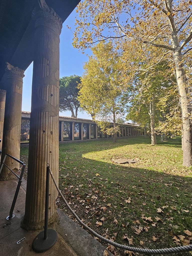 II.7 Pompeii. November 2024. 
Looking towards west side from south portico. Photo courtesy of Annette Haug.