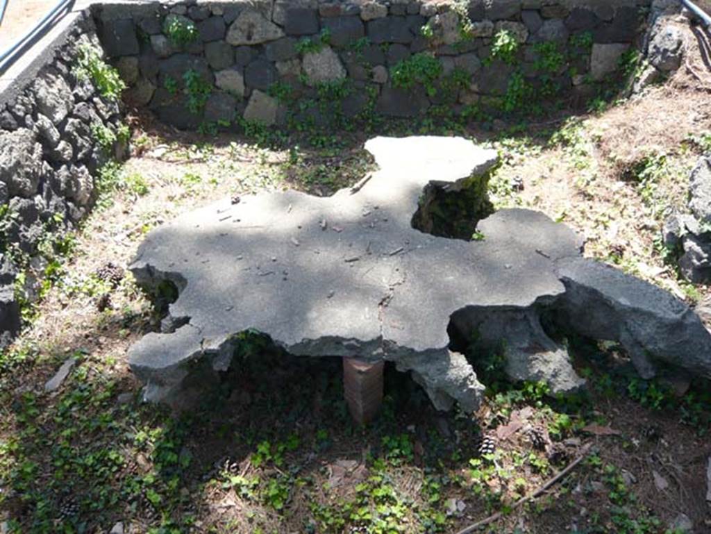 II.7.3 Pompeii. Palaestra. May 2012. Plaster cast of tree root, to be found near II.7.3.   
Photo courtesy of Buzz Ferebee.
