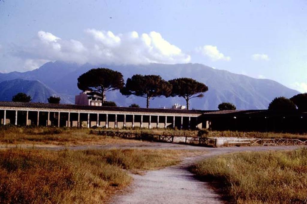 II.7.4 Pompeii. 1966. Looking towards south-west corner.  Photo by Stanley A. Jashemski.
Source: The Wilhelmina and Stanley A. Jashemski archive in the University of Maryland Library, Special Collections (See collection page) and made available under the Creative Commons Attribution-Non Commercial License v.4. See Licence and use details.
J66f0422
