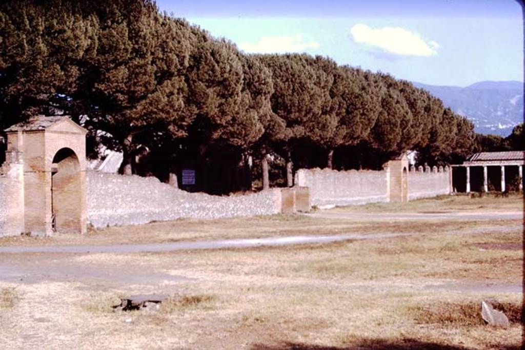 II.7.4 Pompeii. 1970. Looking south along east side.  Photo by Stanley A. Jashemski.
Source: The Wilhelmina and Stanley A. Jashemski archive in the University of Maryland Library, Special Collections (See collection page) and made available under the Creative Commons Attribution-Non Commercial License v.4. See Licence and use details.
J70f0740