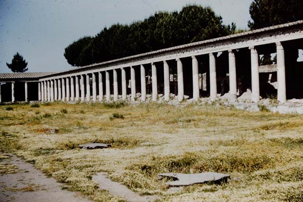 II.7.5 Pompeii. 1961. Looking towards the north-west corner, with plaster-casts of tree roots. Photo by Stanley A. Jashemski.
Source: The Wilhelmina and Stanley A. Jashemski archive in the University of Maryland Library, Special Collections (See collection page) and made available under the Creative Commons Attribution-Non Commercial License v.4. See Licence and use details.
J61f0230