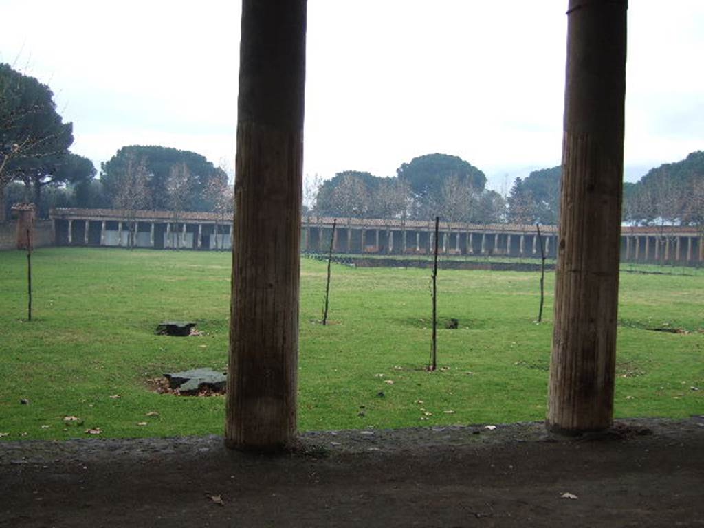 II.7.5 Pompeii. December 2005. Showing the replanted double row of plane trees.