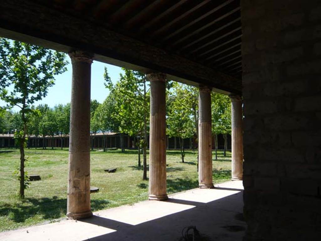 II.7.6 Pompeii, May 2012. Looking south-west across the Palaestra from entrance.
Photo courtesy of Buzz Ferebee.