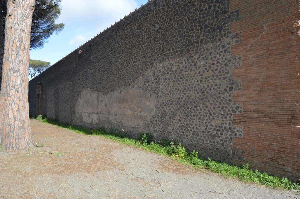 II.7.7 Pompeii. Palaestra. March 2019. Exterior north wall on south side of Via di Castricio, site of graffiti.
Foto Taylor Lauritsen, ERC Grant 681269 DÉCOR.