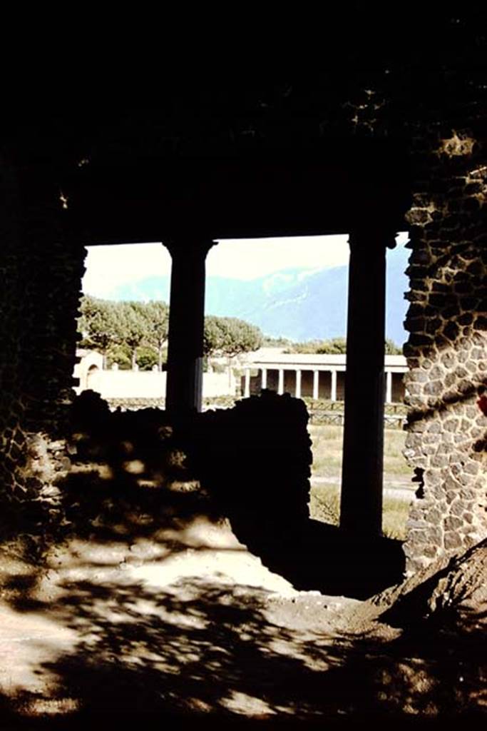 II.7.7 Pompeii. Palaestra. 1959. Looking south towards the Piscina or swimming pool. 
Photo by Stanley A. Jashemski.
Source: The Wilhelmina and Stanley A. Jashemski archive in the University of Maryland Library, Special Collections (See collection page) and made available under the Creative Commons Attribution-Non Commercial License v.4. See Licence and use details.
J59f0296