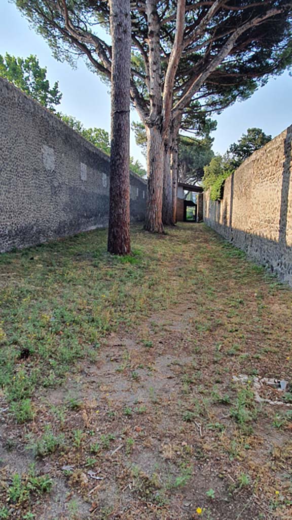 II.7.8 Pompeii on left. Palaestra. July 2021. 
Looking south along roadway on west side leading towards II.7.9.
Foto Annette Haug, ERC Grant 681269 DÉCOR.